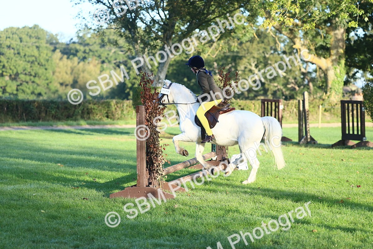 SBM_37168 - S29 - Novice & Newcomers Working Hunter Pony
