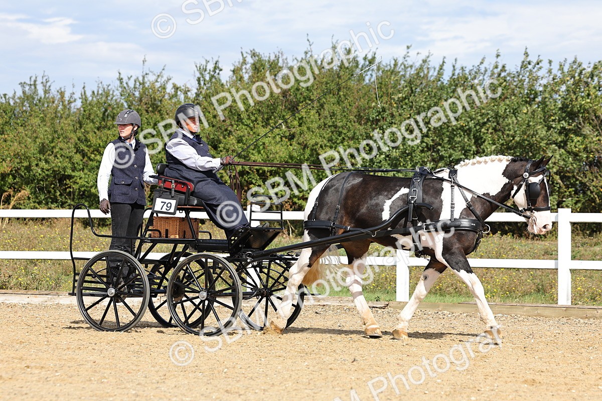 SBM_000906 - Class 8 - Novice Horse or Pony to any vehicle
