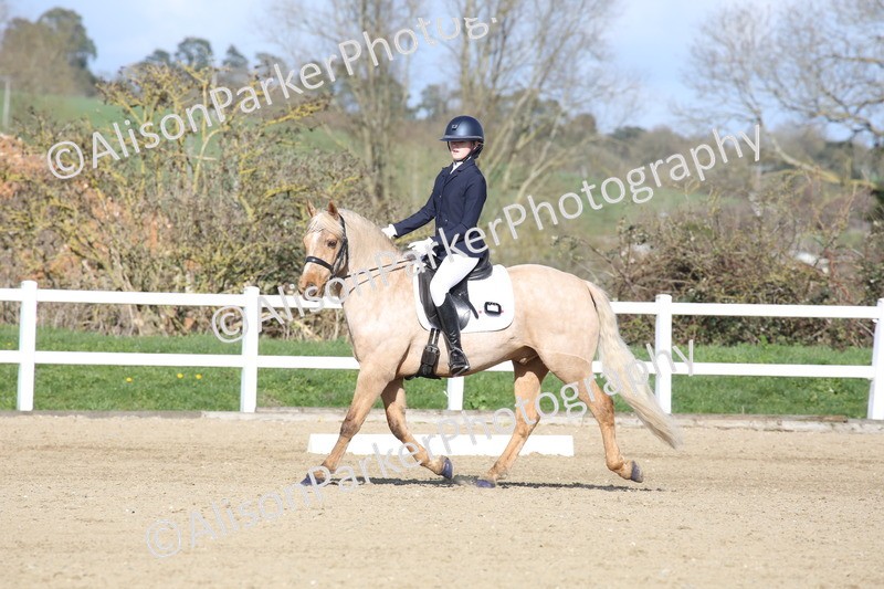 20260314-5170 - DR6 - Novice 2