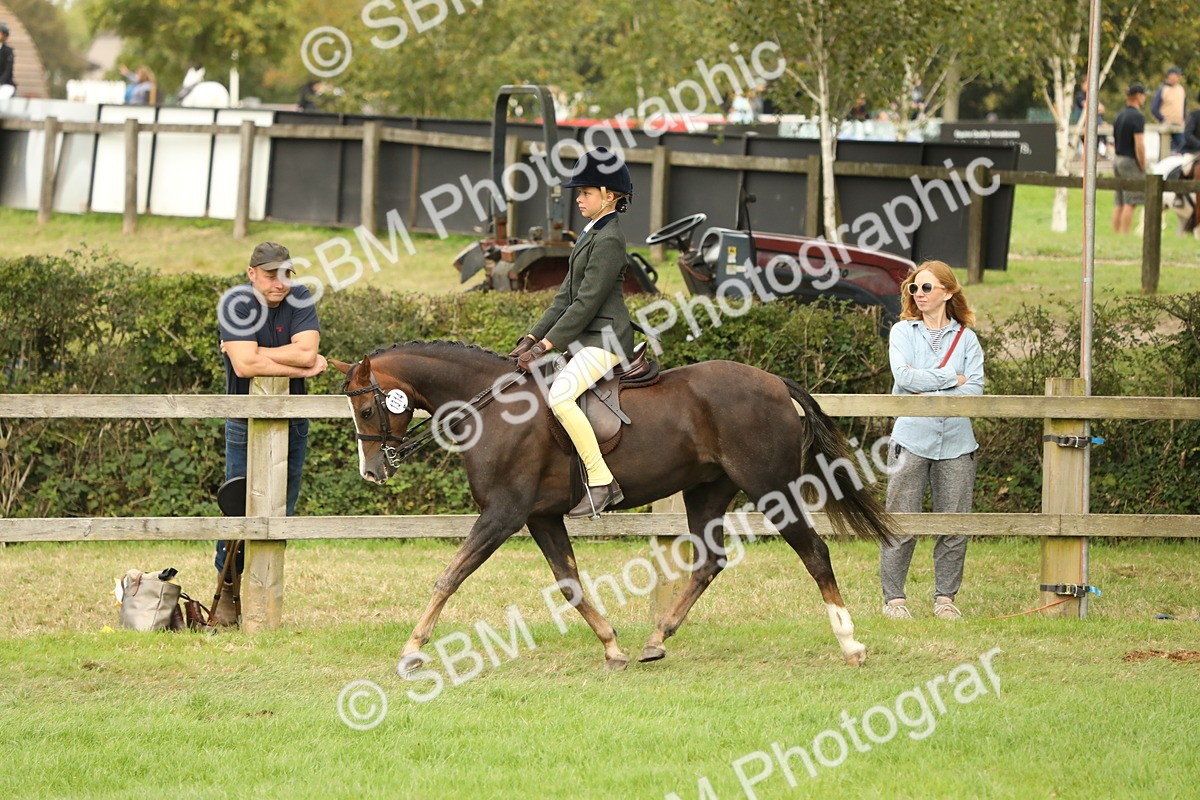 SBM_71658 - S41 - Ridden Equitation (Best Rider)