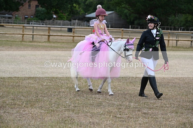 WJ6_8627 - Class 11 Fancy Dress