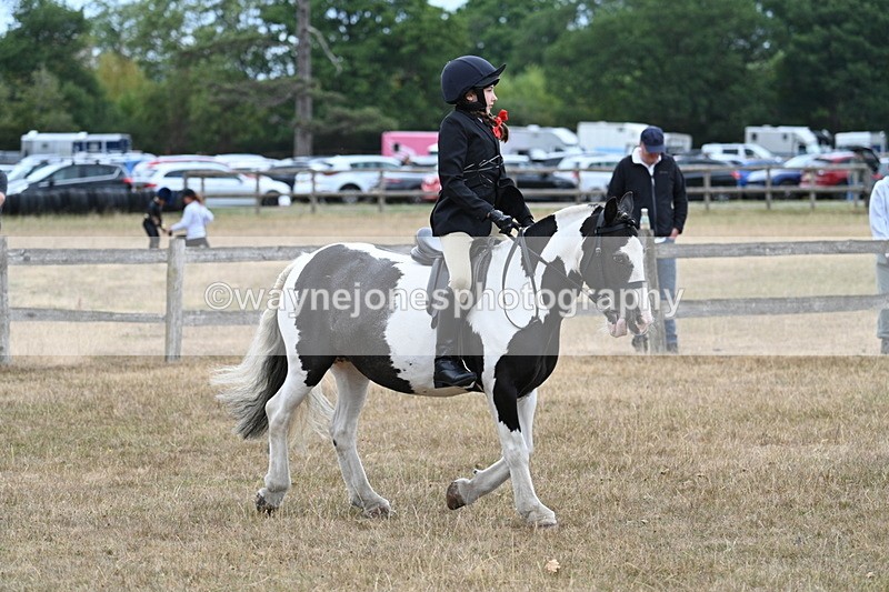 WJ7_7278 - Class 2 Best Rider