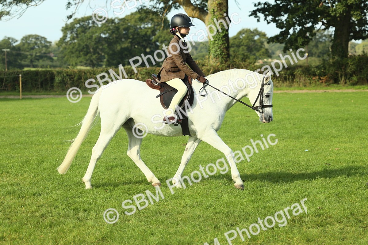 SBM_59834 - S38 - Starters Ridden Showing