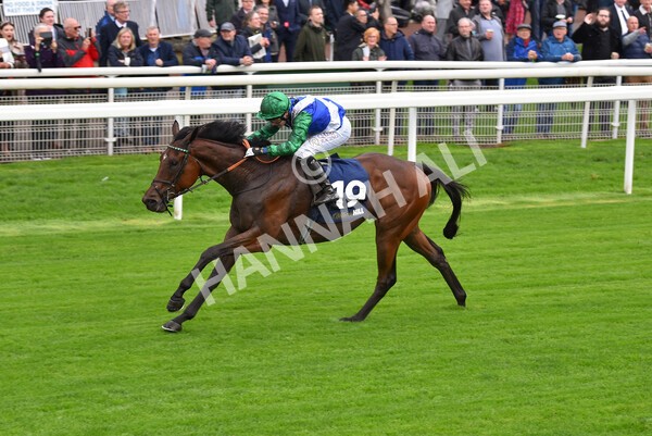 yr07102022r2-18 - Race 2 2.40pm William Hill Autumn Mile