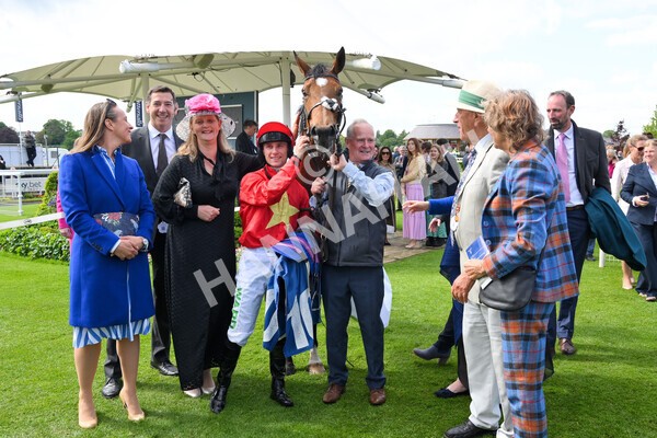 yr11052022r3-41 - Race 3 3.00pm 1895 Duke of York Clipper Logistics Stakes