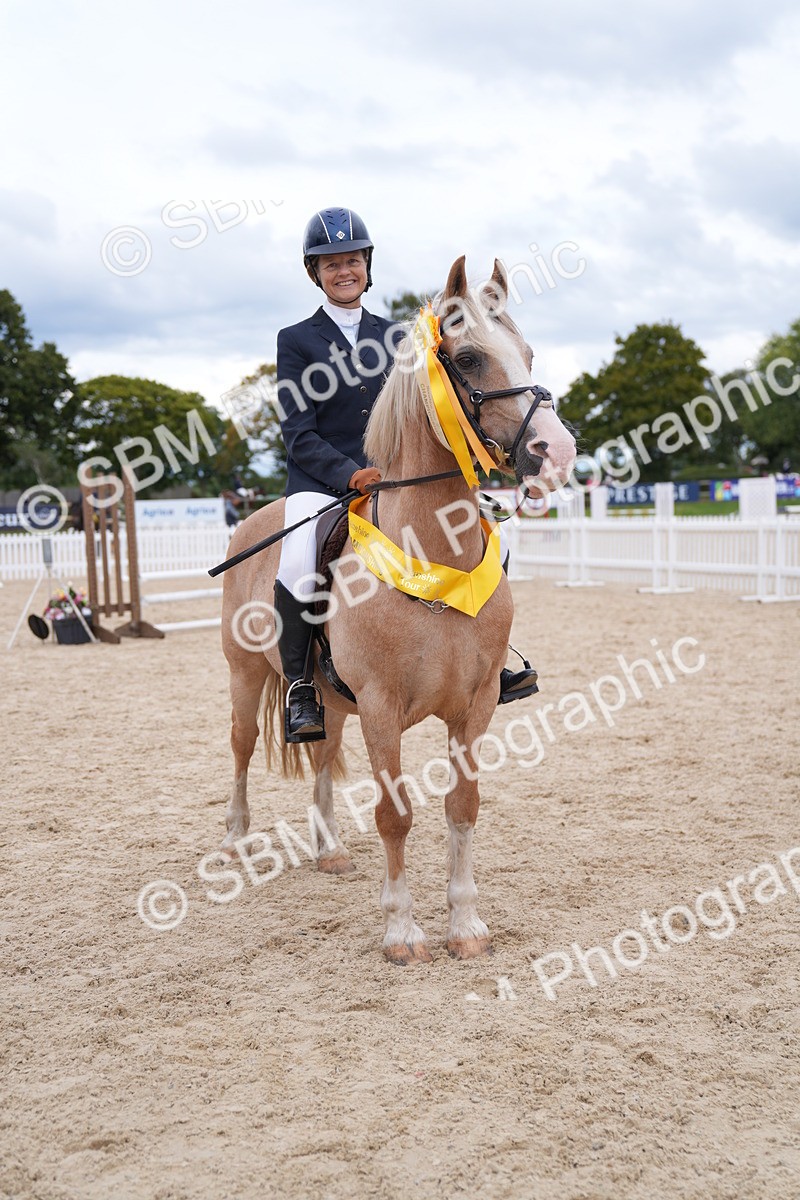 SBM_09333 - J36 Veteran 70cm Championship