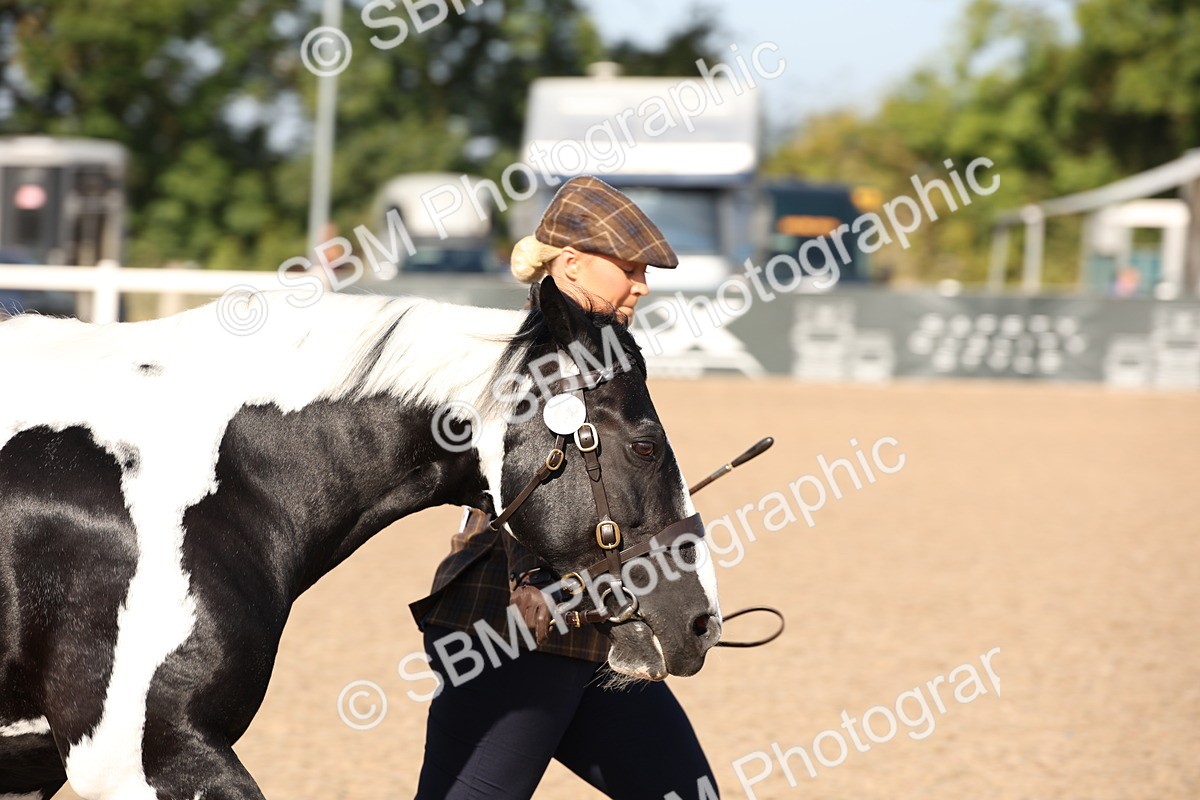 SBM_01499 - Class 15 IH Coloured