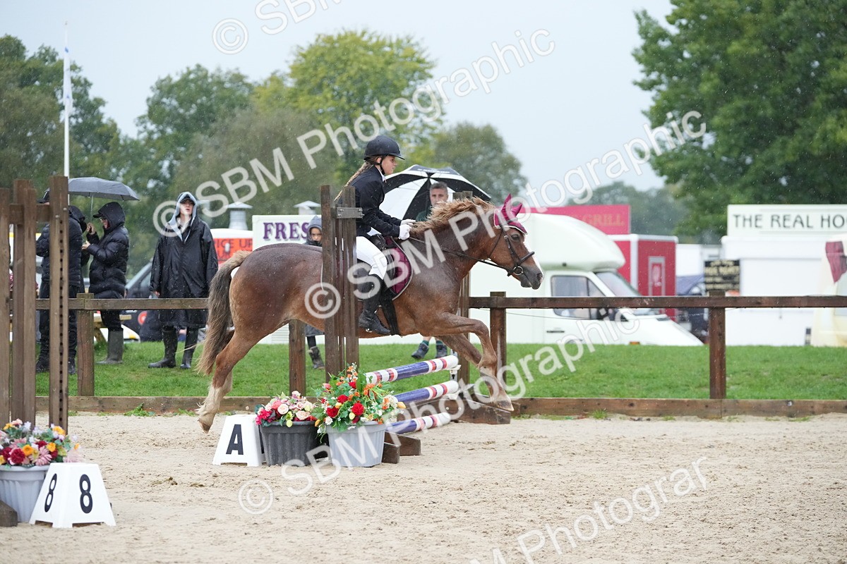 SBM_34105 - J5 - Junior Pony 50cm Championship