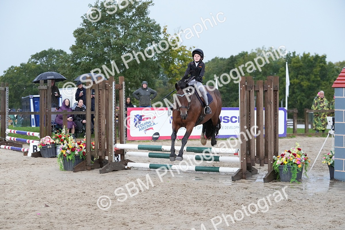 SBM_33979 - J5 - Junior Pony 50cm Championship