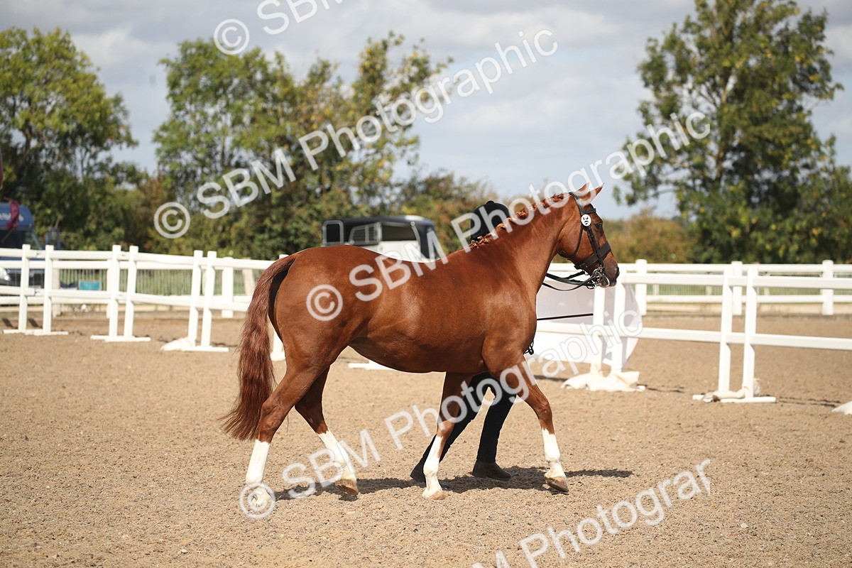 SBM_23410 - Class 604 - 2026 - Area IH Diamond