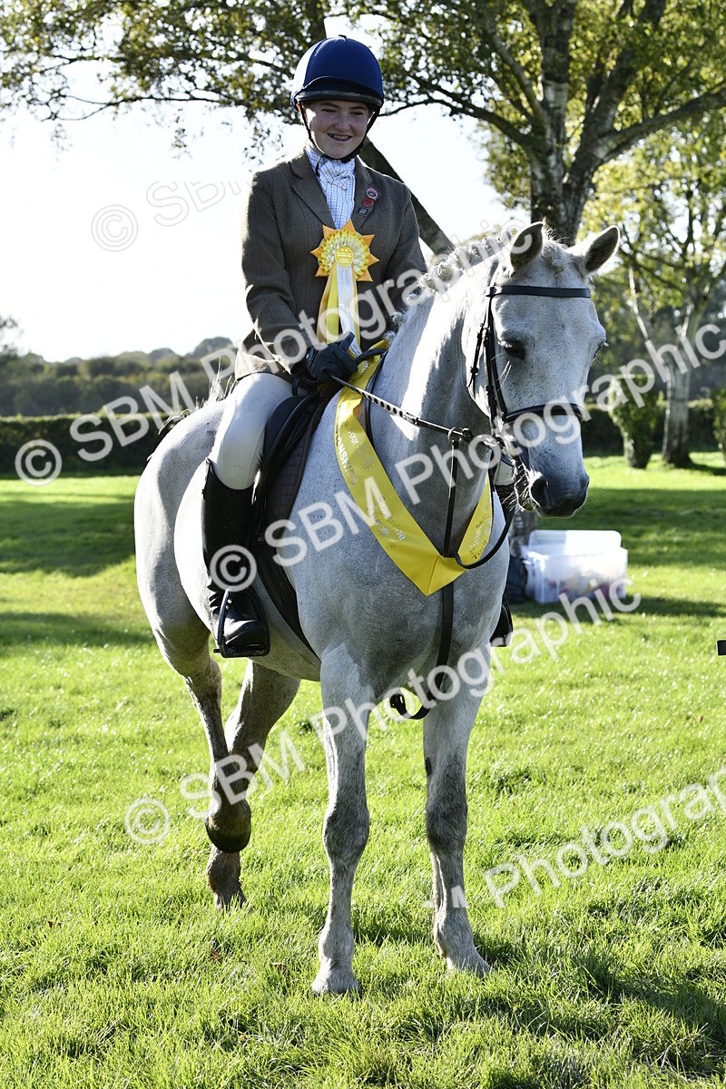 SBM_52268 - S35 - Working Hunter & Working Show Horse