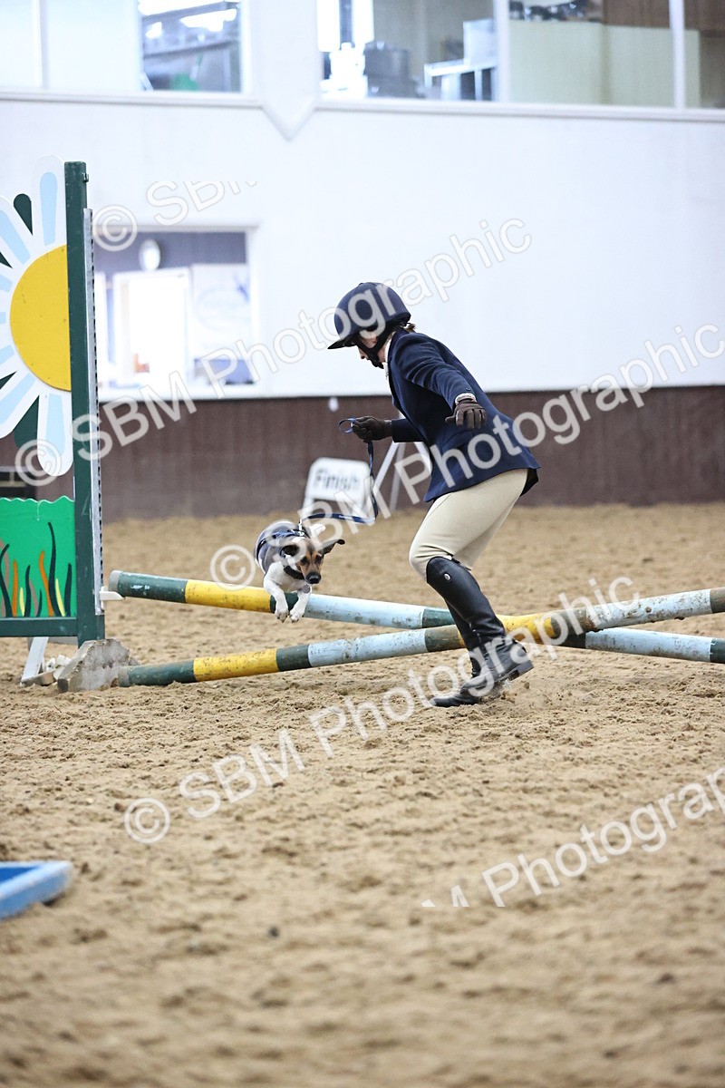 SBM_001175 - Class 3 - Horse & Hound 60cm