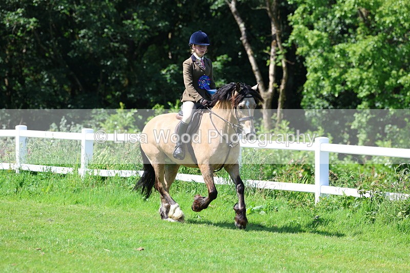 3E7A6742 - Working Hunter Pony Championship