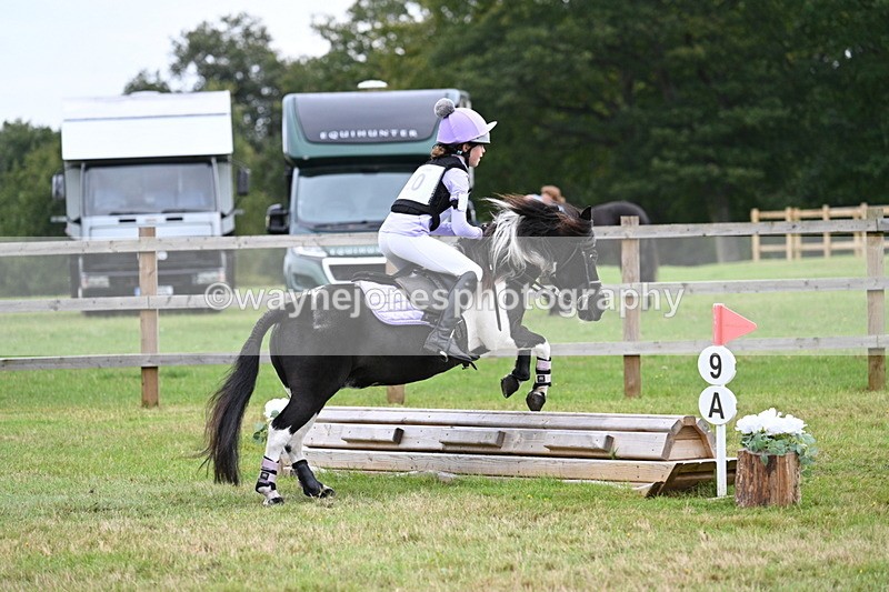 WJ7_7602 - 40cm Time 10:27 to 10:47