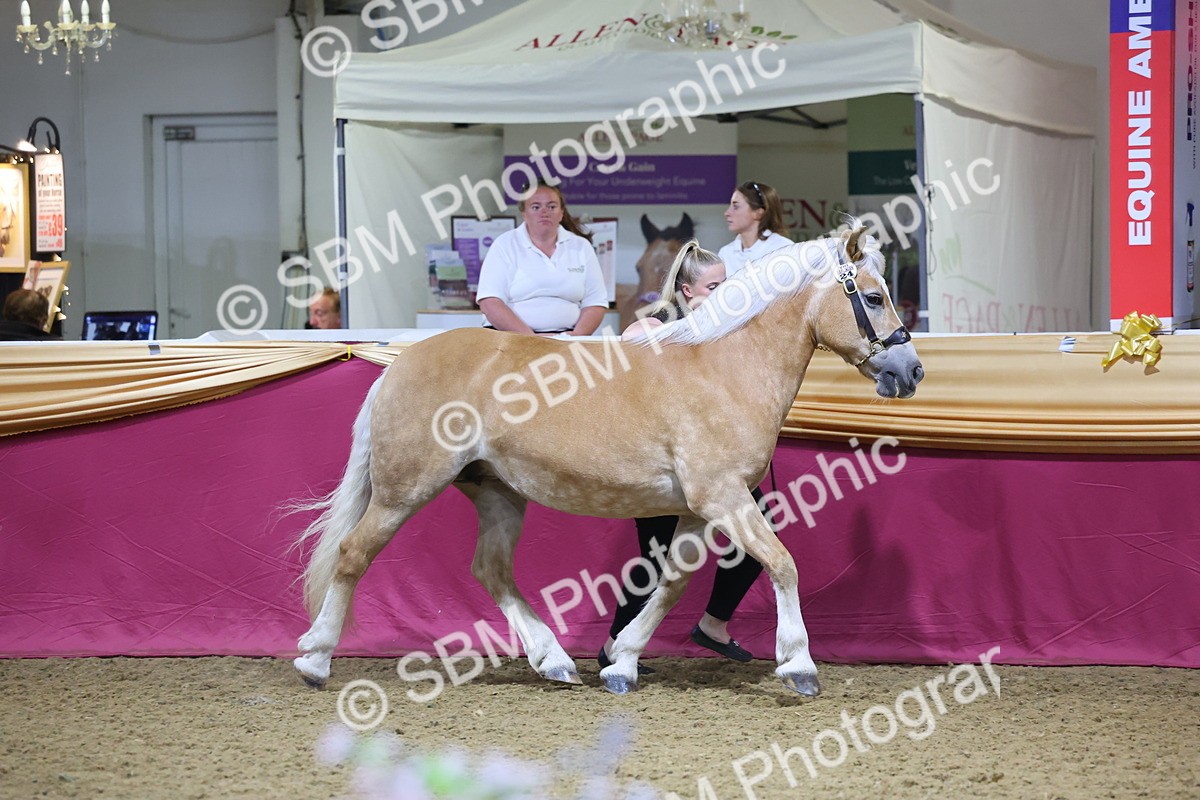 0B8A4550 - Class P Veteran Champ