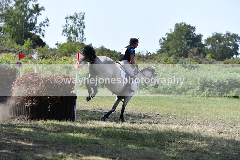 WJ5_2817 - XC Time 12:35 to 12:59