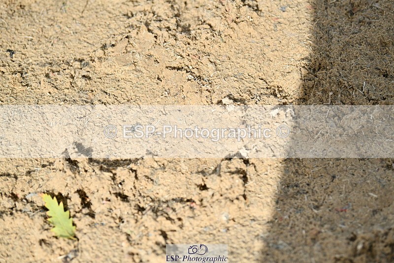 251004A-125417-01037 - Classes 6 & 7 60cm