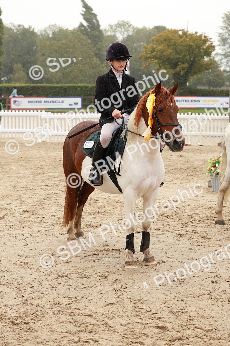 SBM_72317 - J14 - Junior Pony 65cm Championship