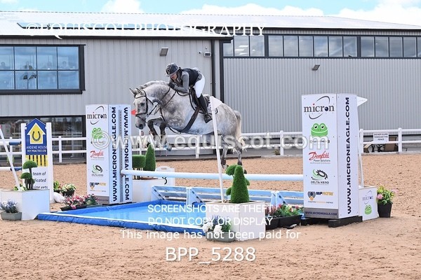 BPP_5288 - CLASS 8 THURS HOYS GFS Saddles Senior Newcomers Second Round