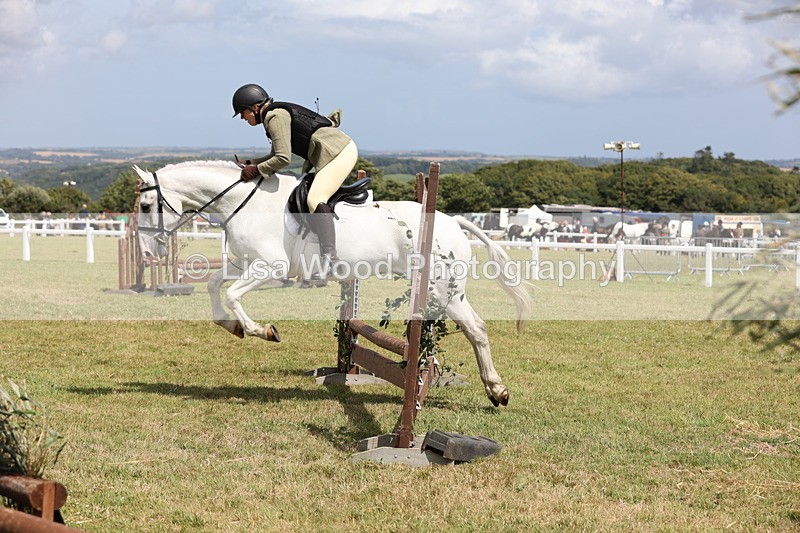 JPP_2090 - Class 19: Working Hunter 60cm