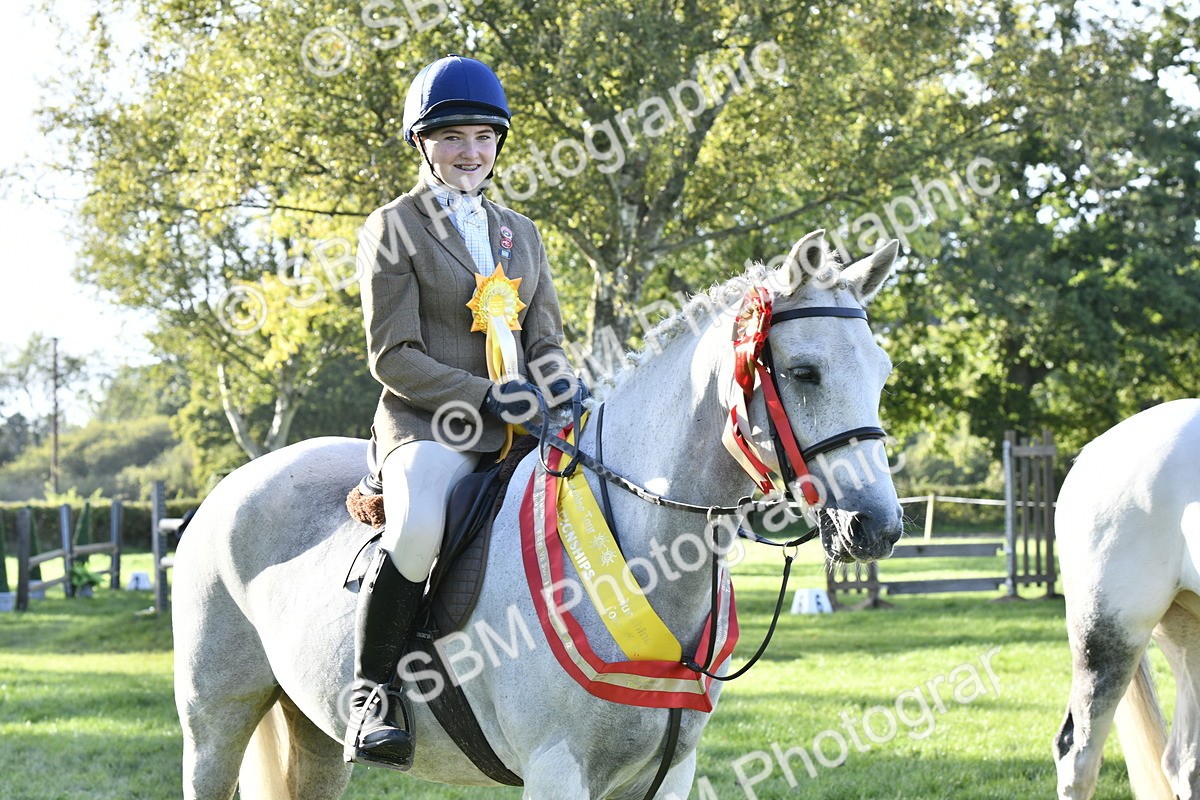 SBM_51742 - Working Hunter Supreme Championship
