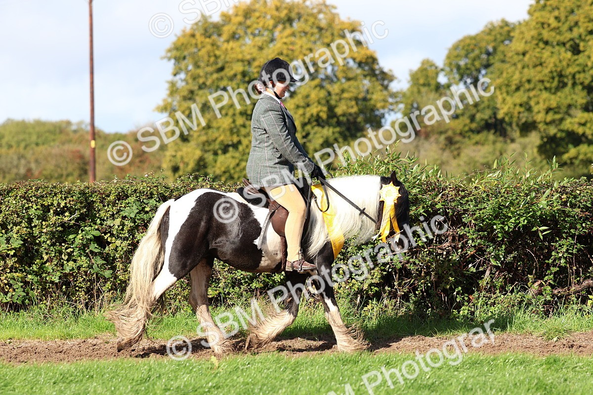 SBM_37418 - Fun Showing Supreme Championship