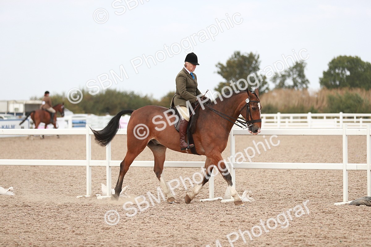 SBM_16605 - Class 214 Ridden Cob