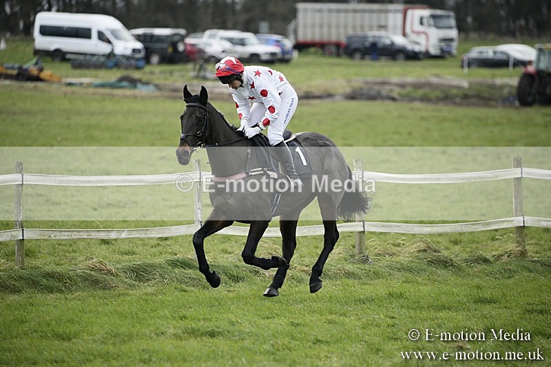 PtP 031217 2 - Hursley Hambledon Point-to-Point Larkhill 03/12/17