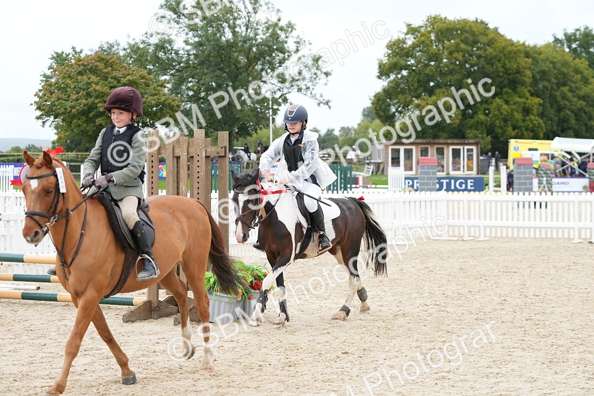 SBM_40914 - Supreme Championship Pony 50-55cm
