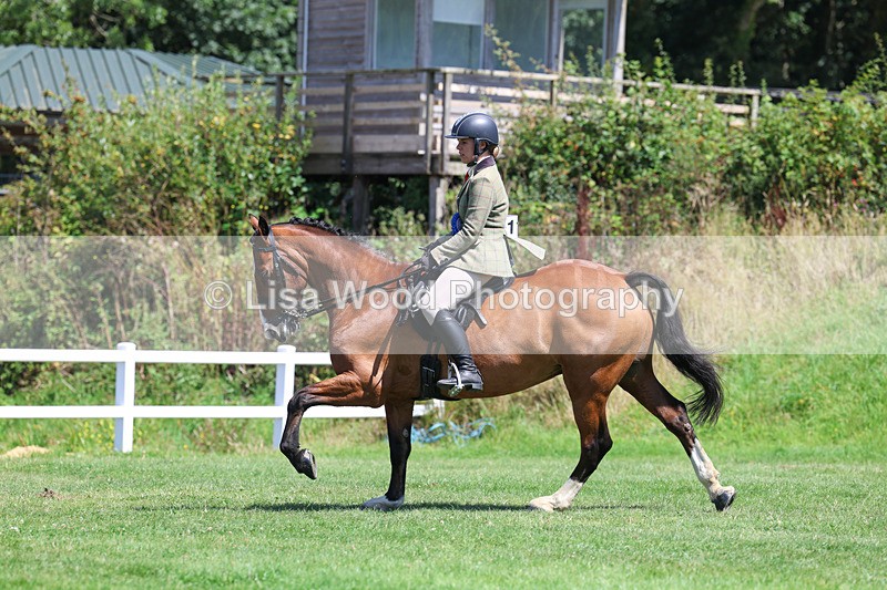 3E7A9192 - Working Hunter Championship