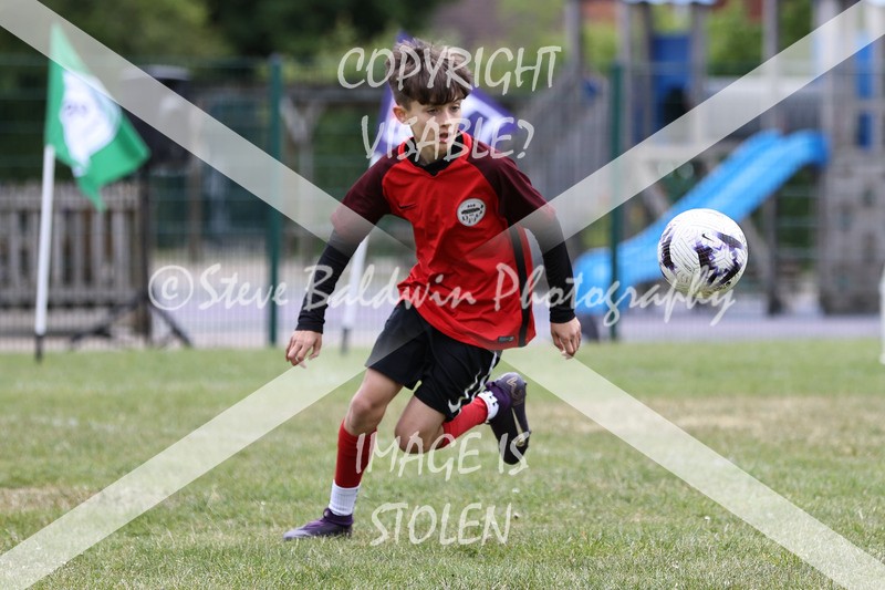 1DX30899 - Brook Field V Goddard Park
