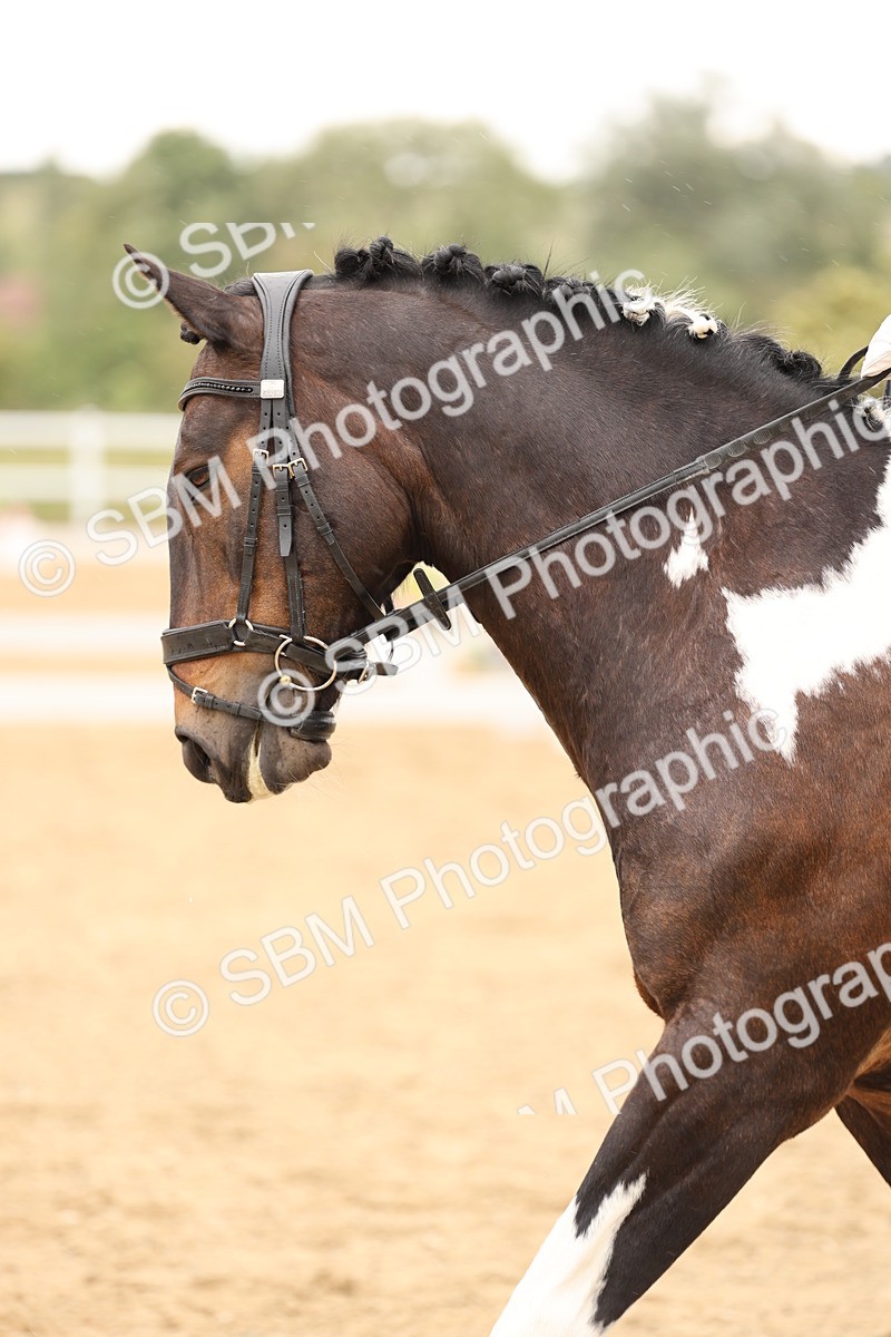 SBM_003572 - Class 6a - Novice 5 - 13.17-14.21