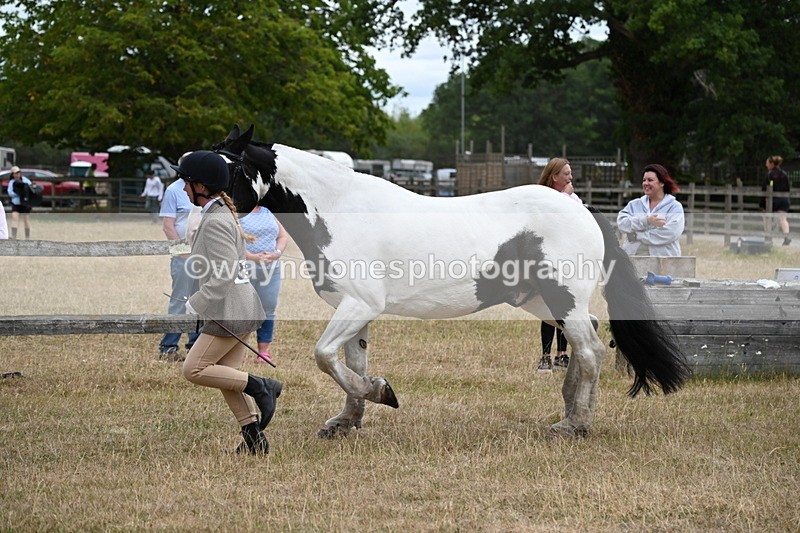 WJ6_8384 - Class 10 Coloured in Hand