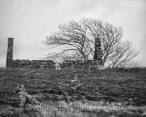 Abandoned - Scotland: Black and White