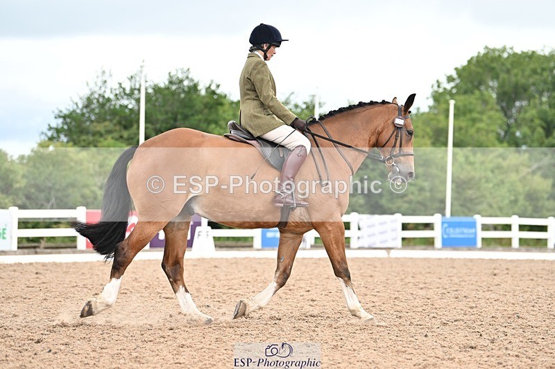 250705-175520-03965 - BRCP4 Sections BRCP4SNR, BRCP4JNR 13.50 to 14.53