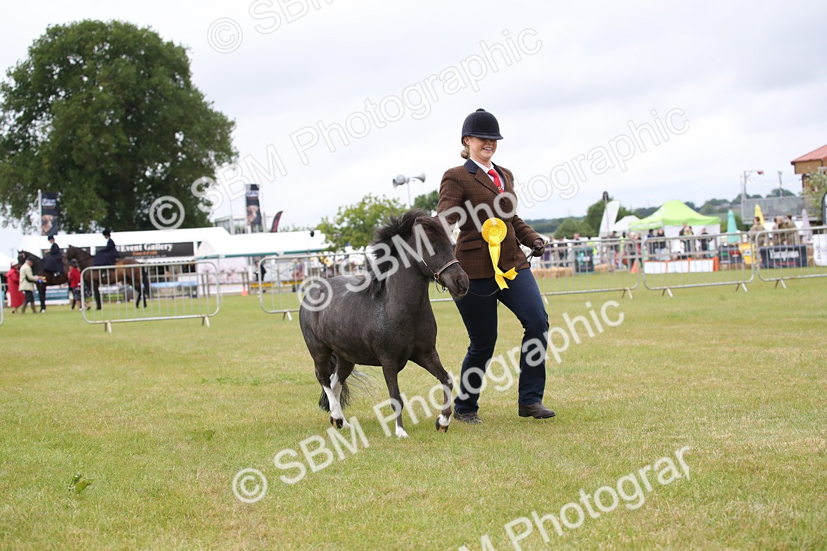 SBM_04029 - Class 23-25 - British Miniature Horse of the Year
