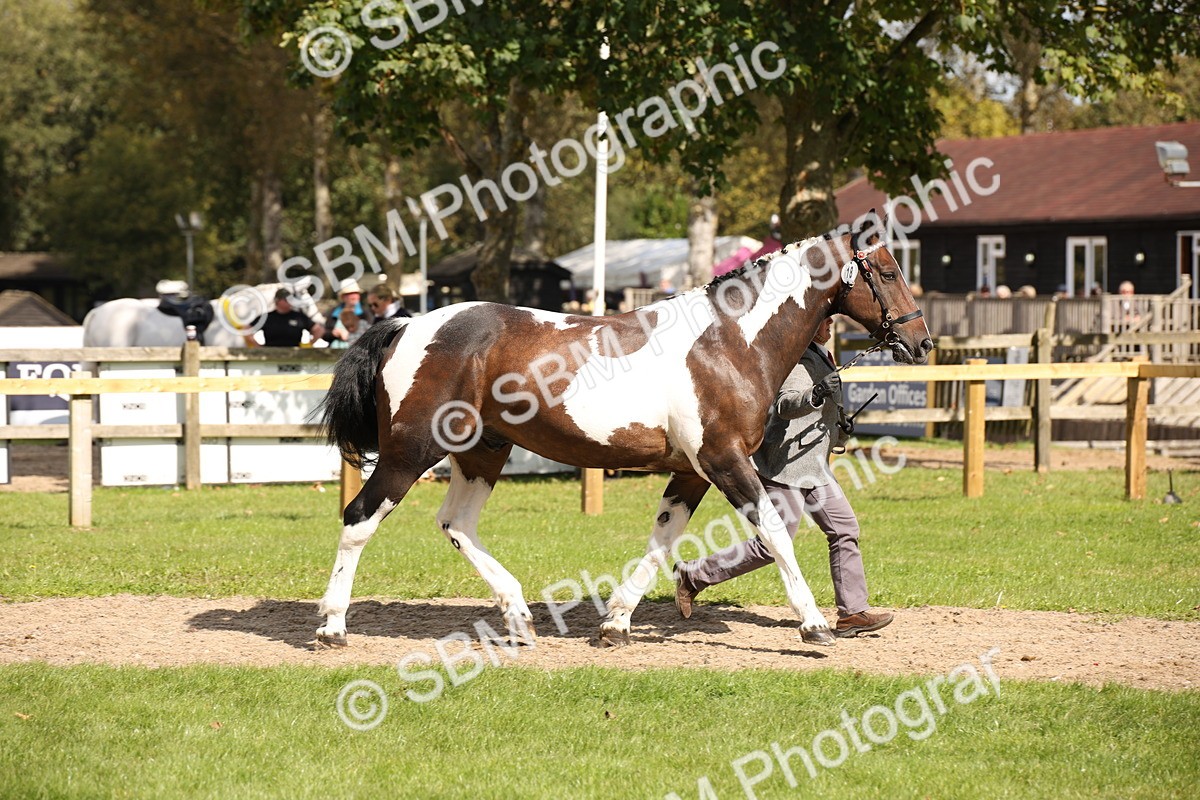 SBM_44395 - S24 - Young Veteran in hand
