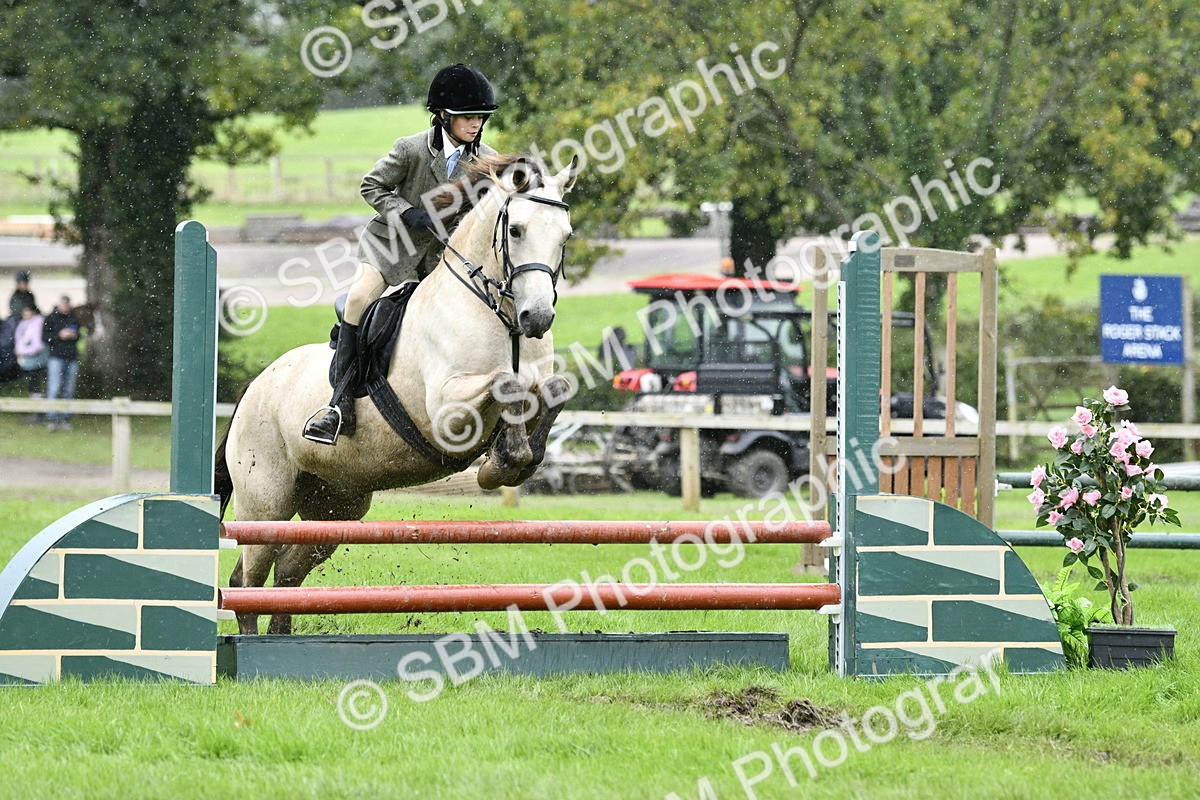 SBM_42307 - S32 - Mountain & Moorland Working Hunter Pony