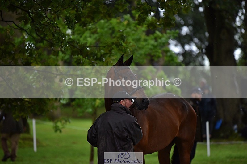 240522-153550-00462 - 379-TREBIFFIN-Neil_Fox