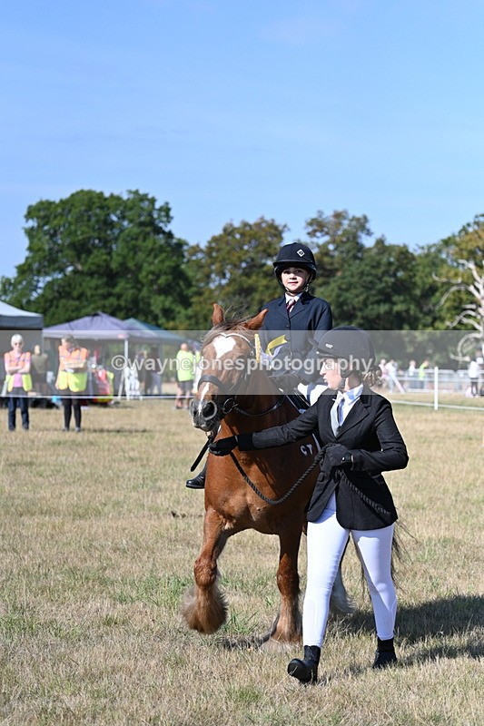 WJ7_3309 - Class 8 Ridden Tack & Turnout