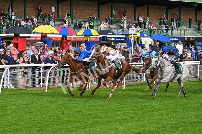 280824-Race 5-Hidden Pearl-4781 - Race 5