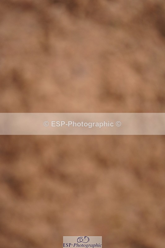 240526A-122030-08037 - Cls 26 Chard Equ 1.05m and 1.10m Grand Prix