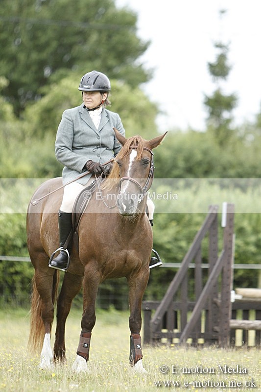 BVR160717-982 - Ring 3 BVRC Show 16/07/17