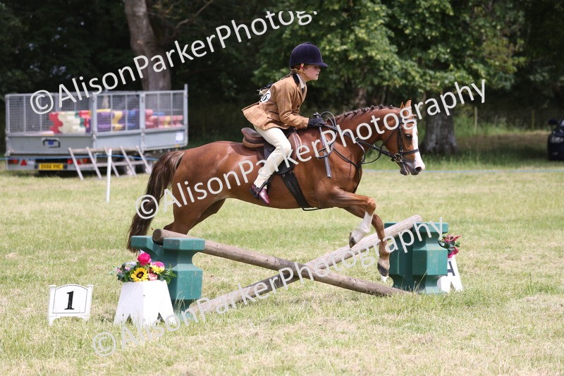 20260614-2821 - Class 22 - Open Working Hunter