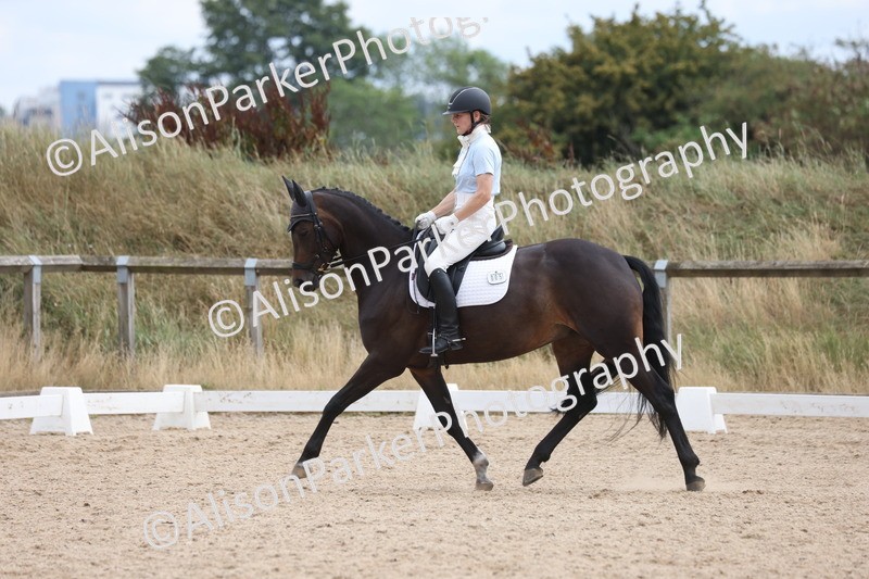 20250730-1071 - Class 5 - Novice 2