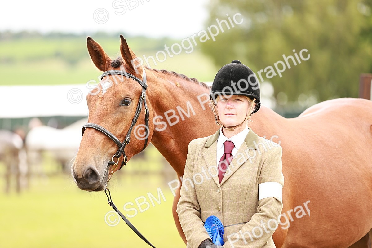 SBM_00837 - Class 26-30 Sport Horse In Hand