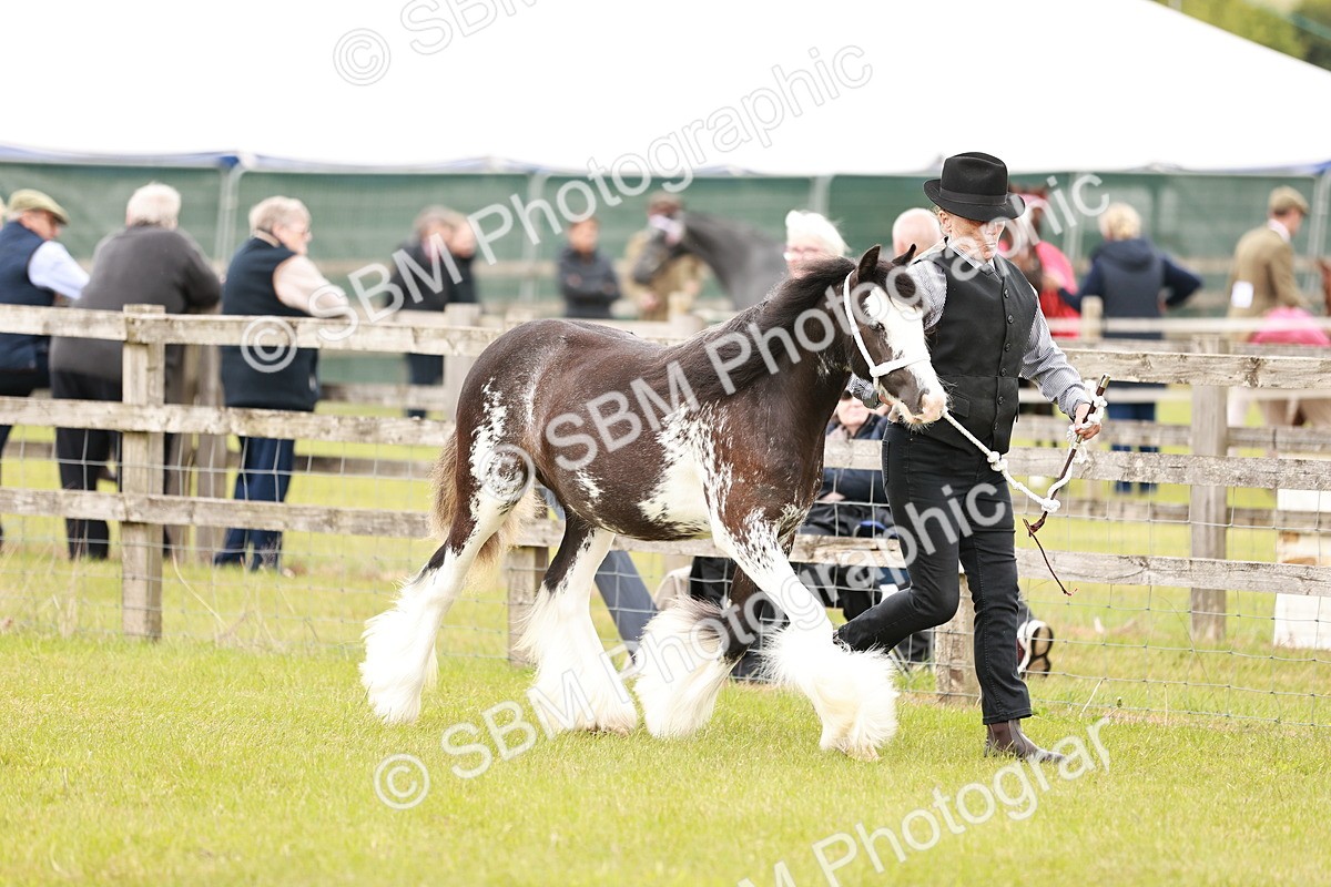 SBM_05951 - Class 39-41 TGCA In Hand and Ridden