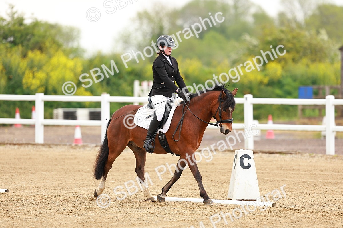 SBM_005262 - Class 16 - Novice 6