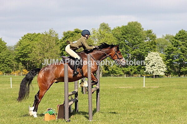 IMG_4700 - Working Hunter