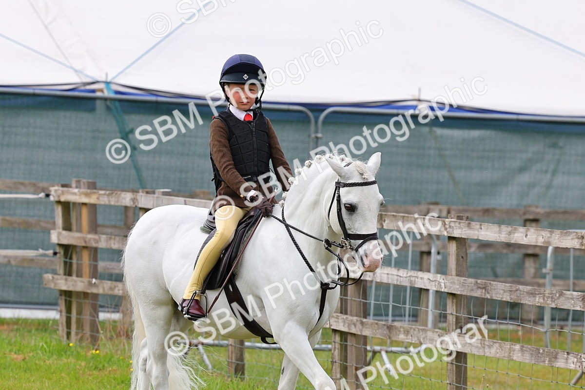 SBM_09614 - Class 44-45 - LIHS BSPS Open Nursery and Cradle Stakes
